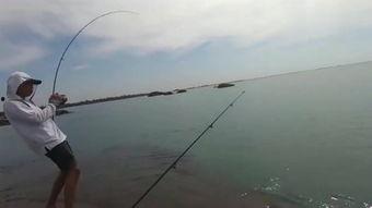 钓鱼拴钩视频,跟随视频学习拴钩技巧