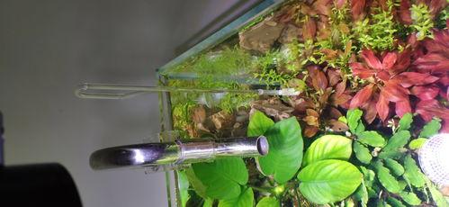 水草缸瀑布教程视频,打造梦幻水景的实用指南