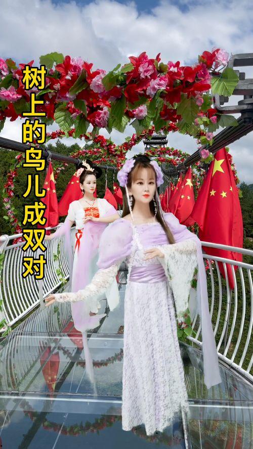 萤火虫视频桌面,点亮你的桌面，畅享视觉盛宴