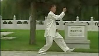 正宗形意拳视频,视频解析正宗招式与技巧