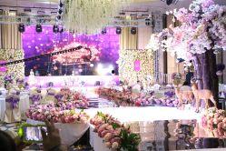 临沭婚礼视频,一场传统与现代交融的视觉盛宴